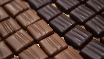 Dark vs. milk chocolate: Americans love one more than the other, but which is 'better' for you?