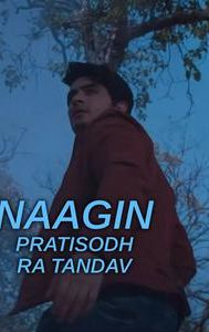 Naagin - Pratisodh Ra Tandav