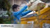 Un estudio desafía las cifras oficiales de reciclaje de botellas de plástico en España: solo se recupera un tercio