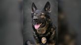 Neenah PD honors retired K9 Cam after distinguished career in law enforcement