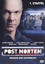 Post Mortem (TV series)