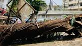 Mumbai: 45-year-old man injured after tree falls in Worli