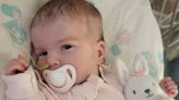 Indi Gregory: Parents' bid to take critically-ill baby's life support case to European courts fails, campaign group says
