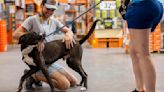 A Dorchester County doggy date partnership helps shelter dogs put their best paws forward