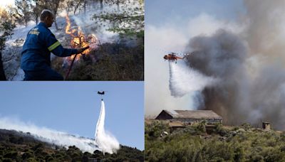 Greece Wildfires: Strong Winds Ignite More Fires As PM Warns Of 'Dangerous Summer' Ahead