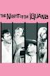 The Night of the Iguana (film)