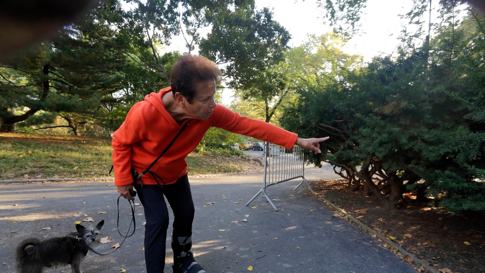 RFK Jr. says he left dead bear in Central Park as prank