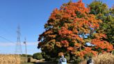 Fish, hike, plant, bike into autumn. Starting here.