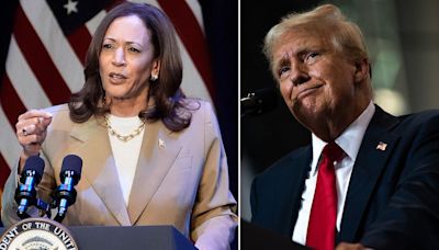 'Nostradamus of elections' gives two cents on Trump vs Harris and shares 'key'