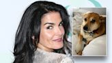 Angie Harmon sues Instacart driver who allegedly shot and killed her dog