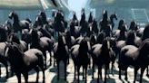 Skyrim fan saddled with 25 performance-ruining horses every time they load their game begs community for help
