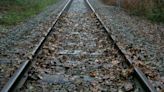 Leaves on railway lines may never stop trains in their tracks again