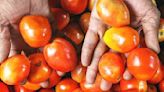 Tomato prices soar to Rs 100 per kg in Delhi markets as rains hit supplies