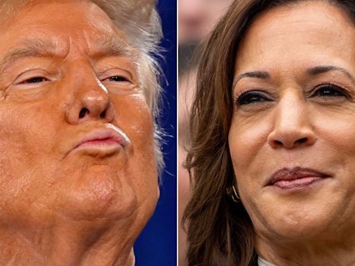 Desperate pollster complains his Black MAGA voters keep dumping Trump for Harris