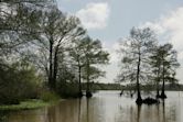 Cameron Parish, Louisiana