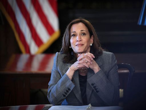 How Kamala Harris is going about finding a VP pick in just 2 weeks