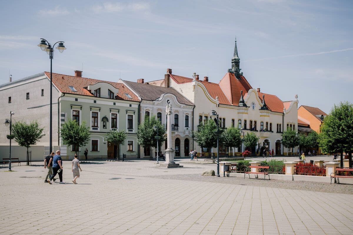 Fico Shooting Sharpens Slovak Political Divide Ahead of EU Vote