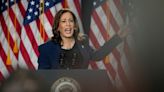 "I know Donald Trump's type:" Kamala Harris takes aim at rival's record