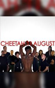 Cheetah in August