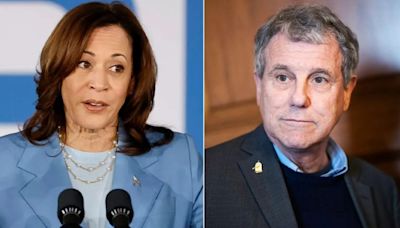 Vulnerable Dem senator ripped for voting in 'complete lockstep' with 'friend' Harris: 'Radical views'