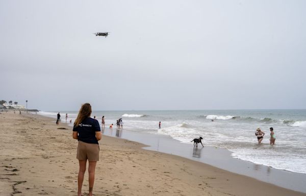 Sharks are congregating at a California beach. AI is trying to keep swimmers safe