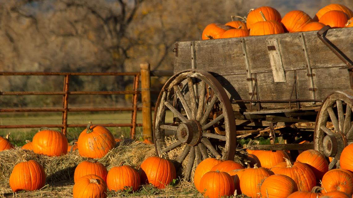 Farms offering apple, pumpkin picking this fall around central Ohio