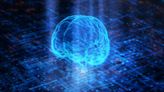 Council Post: The Future Of Neurotechnology: Five Trends To Watch