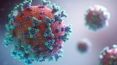 Variantes do coronavírus levam a alerta para aumento dos casos no mundo