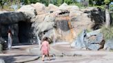 Splash pad now open at Fresno Chaffee Zoo