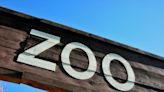 Bert Vescolani CEO of the Denver Zoo on their New Australia-Themed Exhibit | iHeart