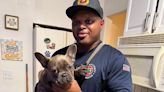 Rescuers Carefully Extract French Bulldog from Kitchen Sink After Pet Gets Paw Stuck in Drain