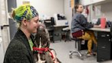 The journey of dogs inside metro Detroit shelters — and the people striving to save them