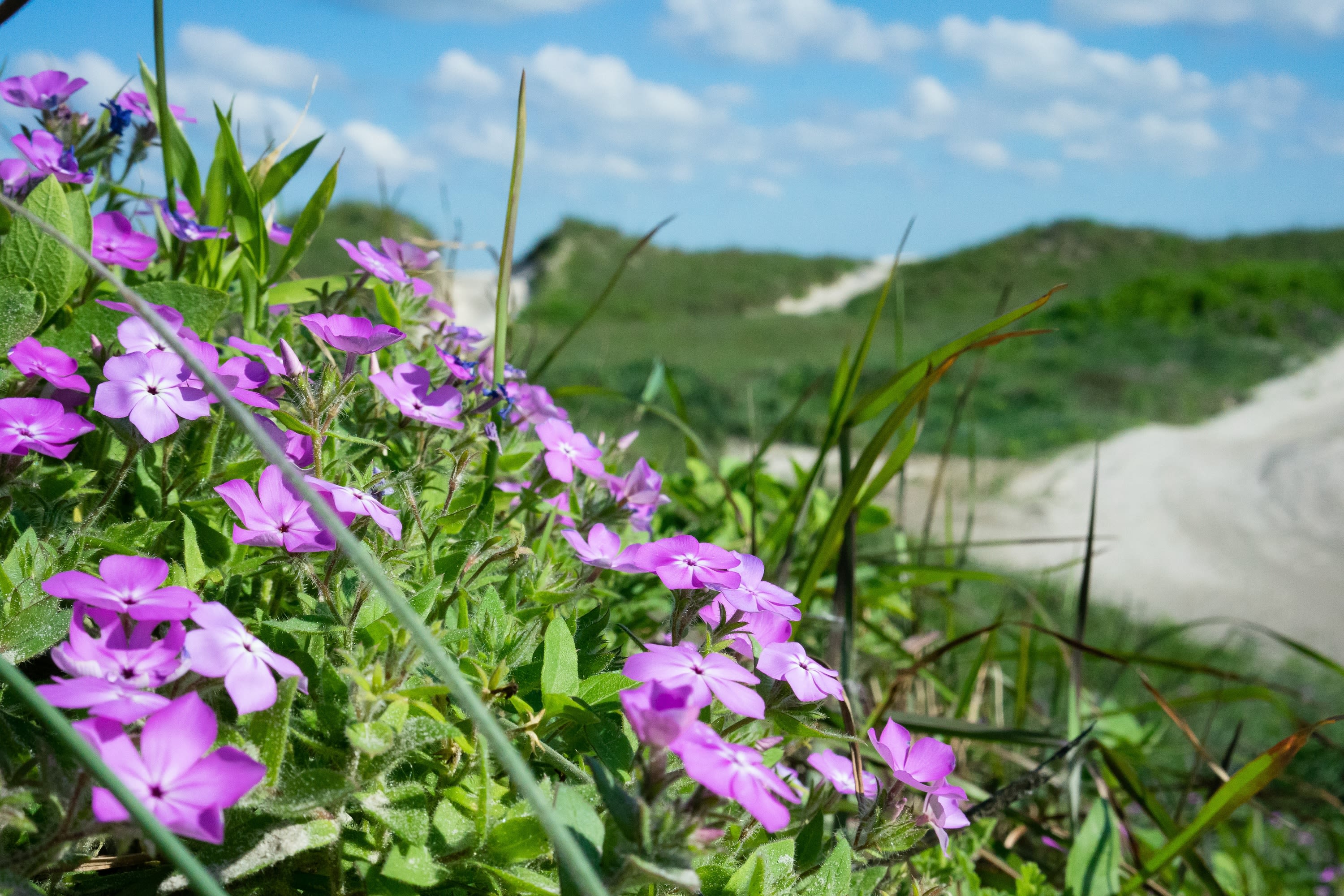 Looking for an Active Beach Trip? Check Out This Coastal Destination