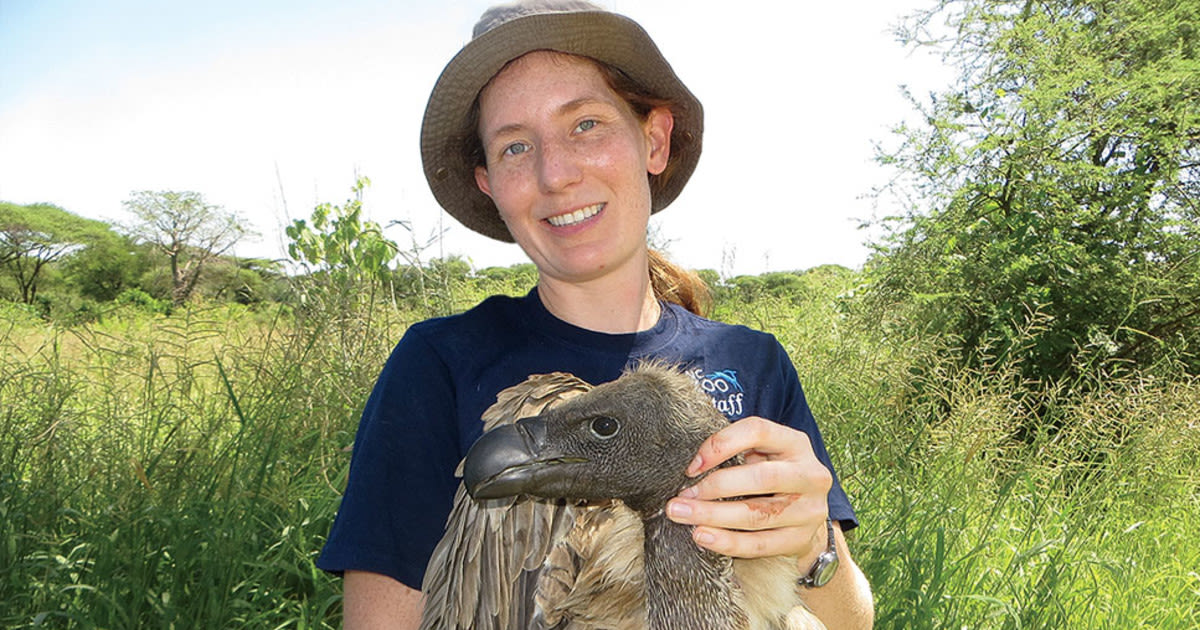 Why Vultures Need Our Protection