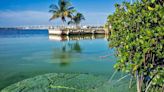 Officials in Volusia County seek regional solution to control Lake Monroe algal growth