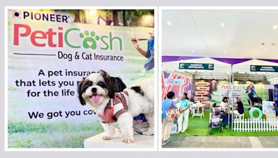 Pioneer Insurance introduces Dog and Cat Insurance to strengthen responsible pet ownership advocacy - BusinessWorld Online