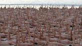 Más de 2.000 personas se desnudan en playa australiana contra cáncer de piel