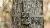 This Is the Best Moultrie Trail Camera—And It's 45% Off Right Now