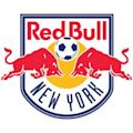 Red Bulls de New York