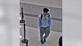 Person of interest sought in SJSU arson investigation