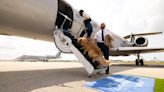 New luxury airline offers easy flying for dogs