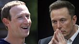 Even Elon Musk's mom is warning him against fighting Mark Zuckerberg in a cage match: 'Fight with words only'