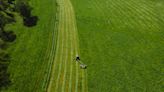 Soberanía Alimentaria Española, el nuevo partido de agricultores que se presenta a las Elecciones Europeas