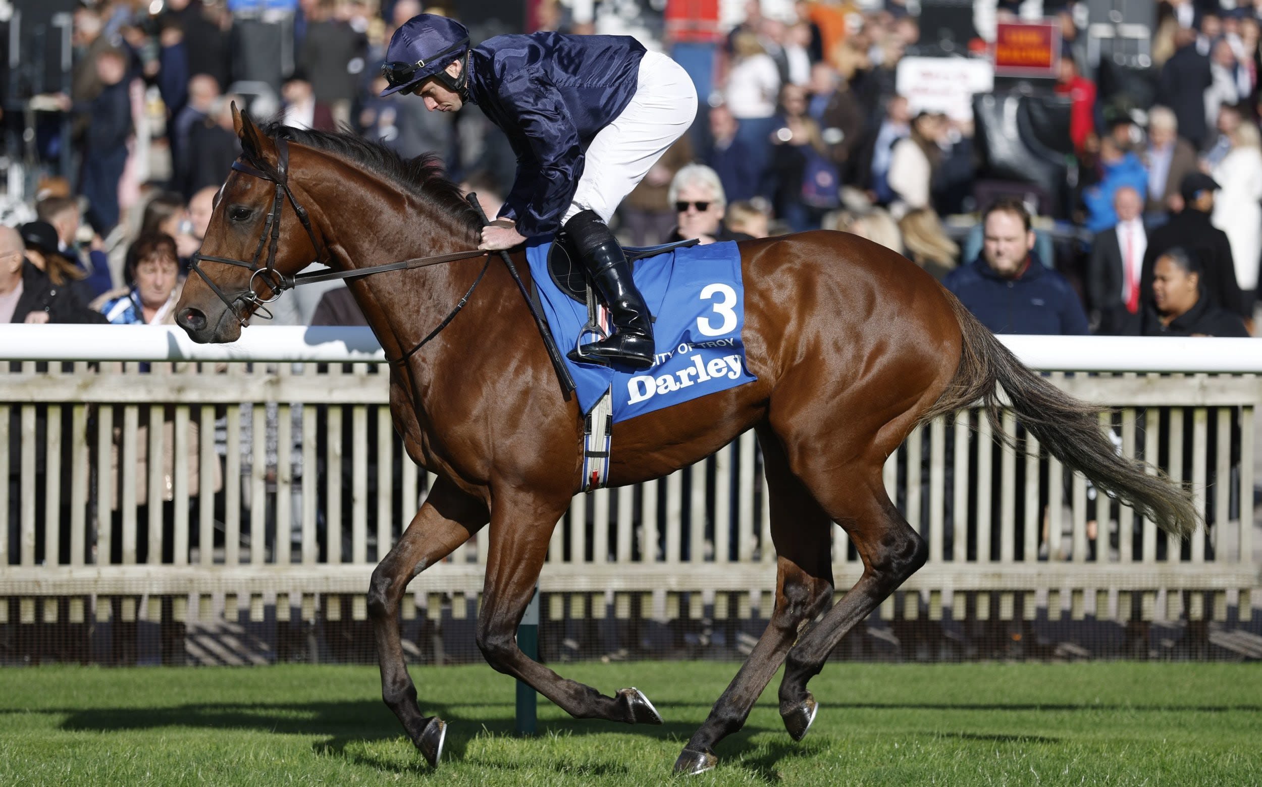 Epsom Derby 2024 runners and riders: Full horse and jockey list