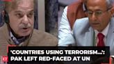 'Using terrorism as instrument of...,' Pakistan left red-faced at UN on terror-sponsoring policies