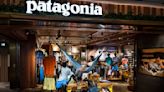 Why Patagonia's purpose-driven business model is unlikely to spread