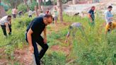 Clean-up drive at war memorial in Hamirpur