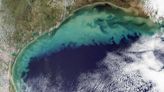 Climate Change Is Fueling a 5,000-Square-Mile ‘Dead Zone’ in the Gulf of Mexico