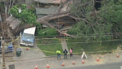 Home crushed by fallen tree is up for sale, at almost $500,000 - KVIA