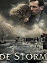 The Storm (2009 film)